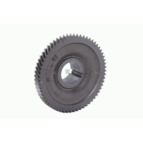 ENGRENAGEM 5M FIXA F4000 240V 25/62D 10330664