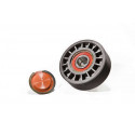 POLIA TENSOR VOLKSWAGEN 8.150E DELIV S-1522 1445P660