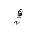 CORREIA ALT VW 17240 BUS 8PK1560        VV FH/FM D11 11/