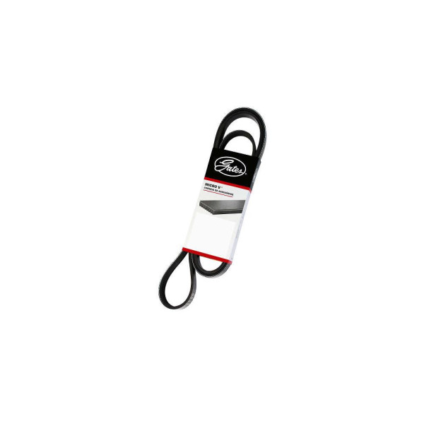 CORREIA ALT VW 17240 BUS 8PK1560        VV FH/FM D11 11/