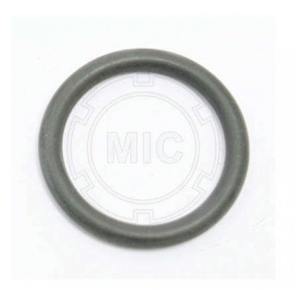 ANEL PATIM FREIO AR 30X4,5 MIC0248         0039976948