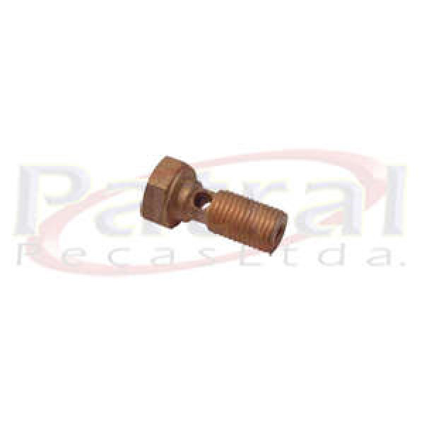 PARAFUSO ACO FORD FLEX FREIO F1000/4000 P6153F1000/4000 /98