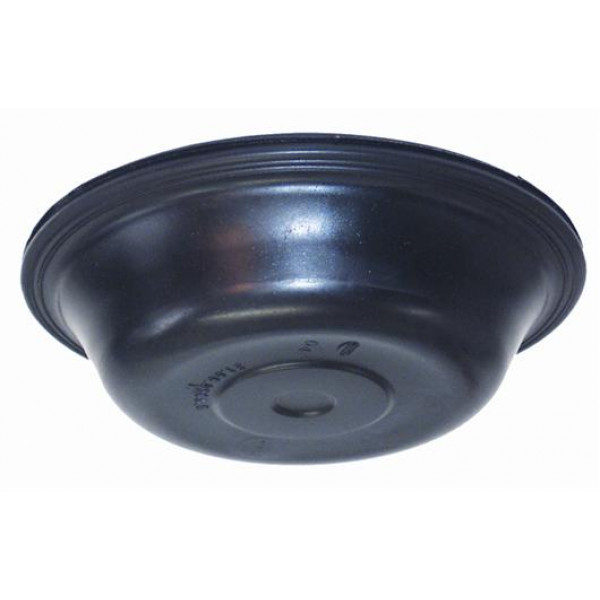 DIAFR CUICA WAB 12X16