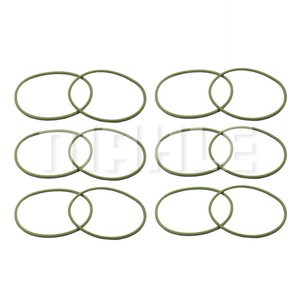 ANEL CAMISA MWM 229 JG2 VITON AV2180    U13600