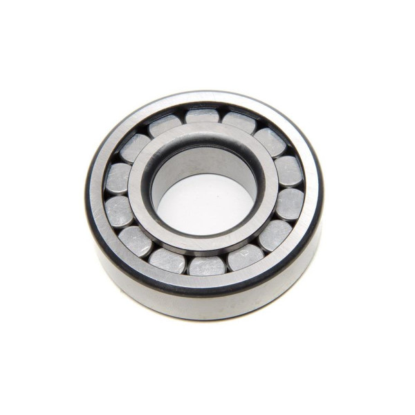 ROL DIF FD PTA PINHAO F44497 098375     FD/GM F110095