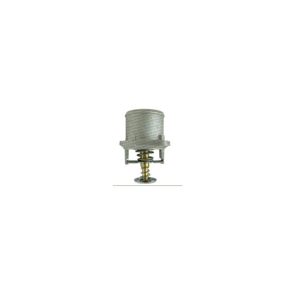 VALV TERMOST MWM X-10 (SO VW) VT410.80