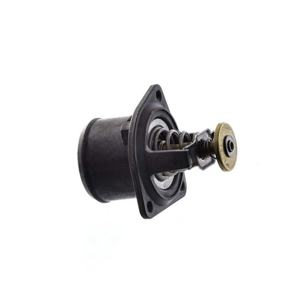 VALV TERMOST MWM X-10 961007570106