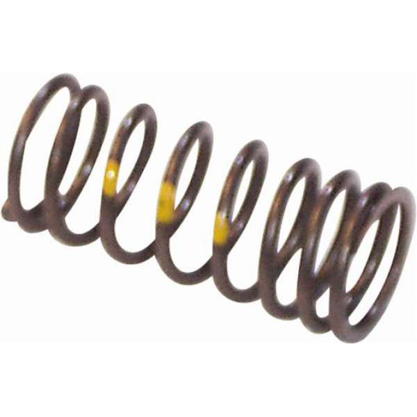 MOLA VALV (INT) MOTOR OM447/449 W100004