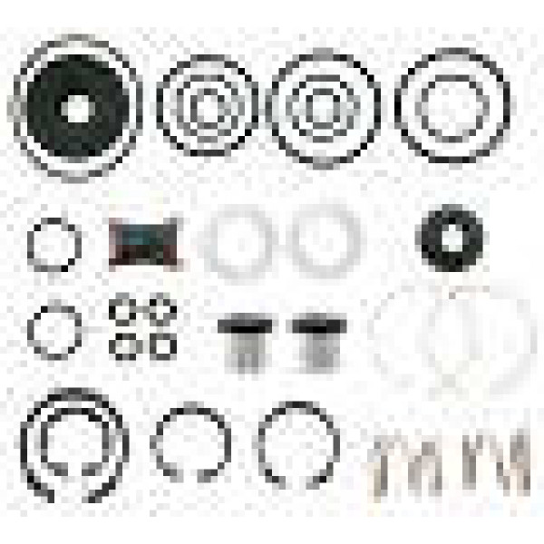 REPARO.VALV.PEDAL 1620 4613150022 997252