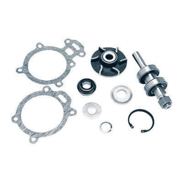REPARO BOMBA AGUA Q20B/4236//VOLKSWAGEN 680 VBA391RL