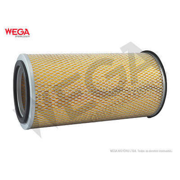 FILTRO AR F1000/4 79 EXTERNO AP7996 WAP114